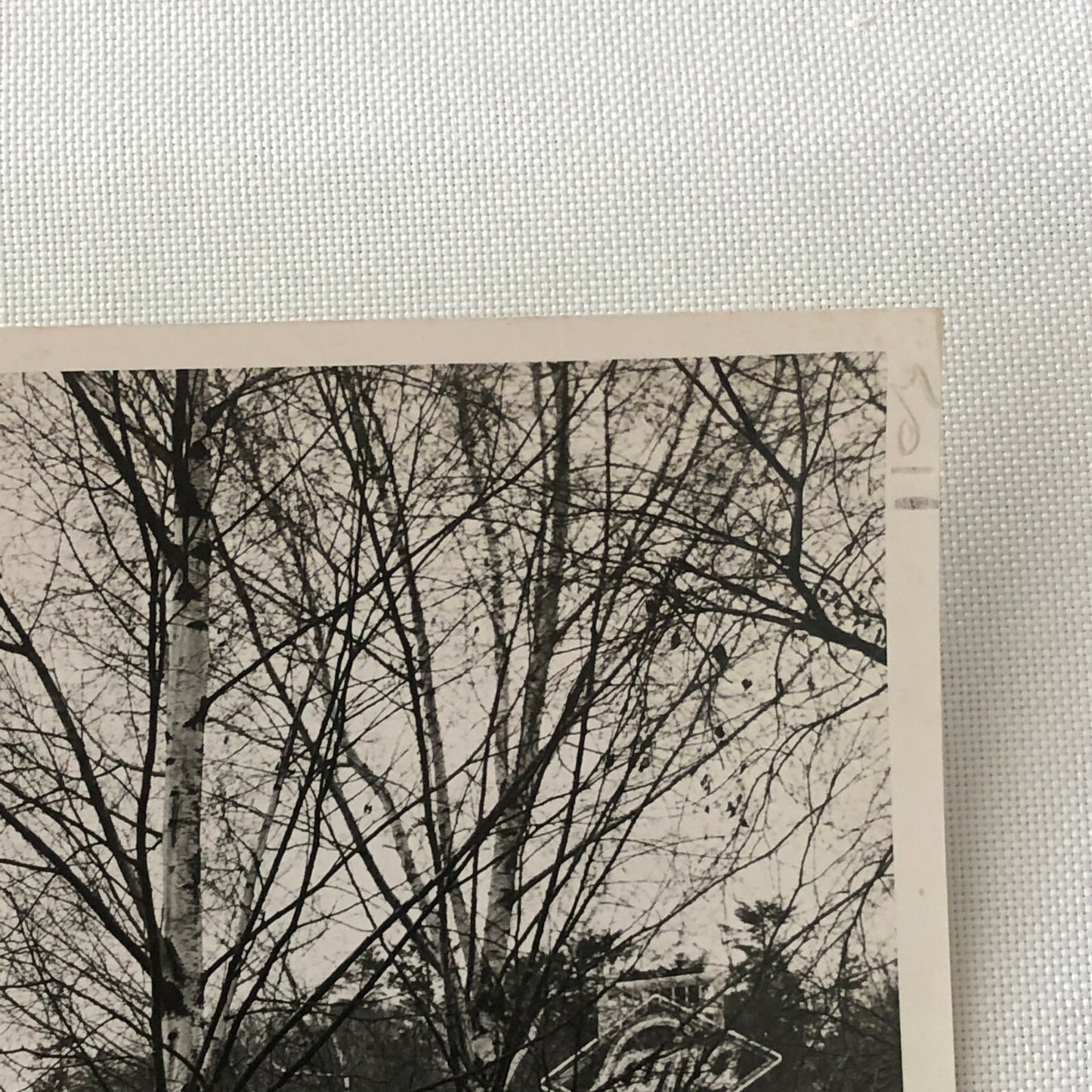 Vintage Photo Photograph of a Ford Truck and Trailer - Denmark ? 