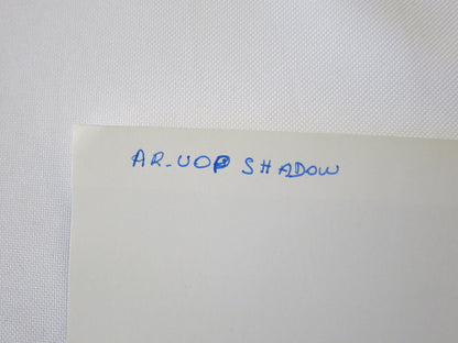 Vintage 1973 South Africa Grand Prix Racing Photograph Photo UOP Shadow 