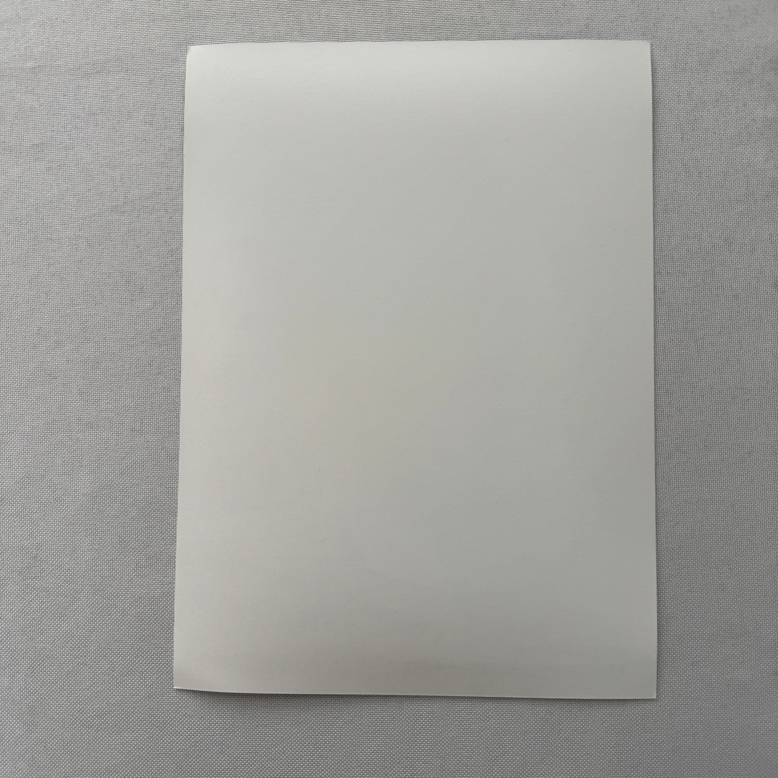 Porsche Racing Driver Frank Jelinski Factory Press Photo Photograph