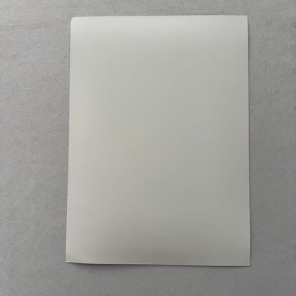 Porsche Racing Driver Frank Jelinski Factory Press Photo Photograph