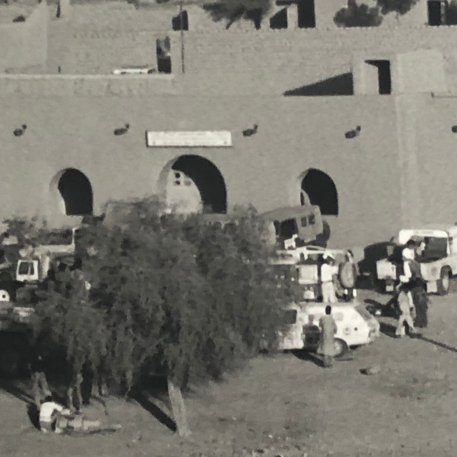 1980 Transafrica Rally Rallye Photo Photograph DPPI Trucks Africa