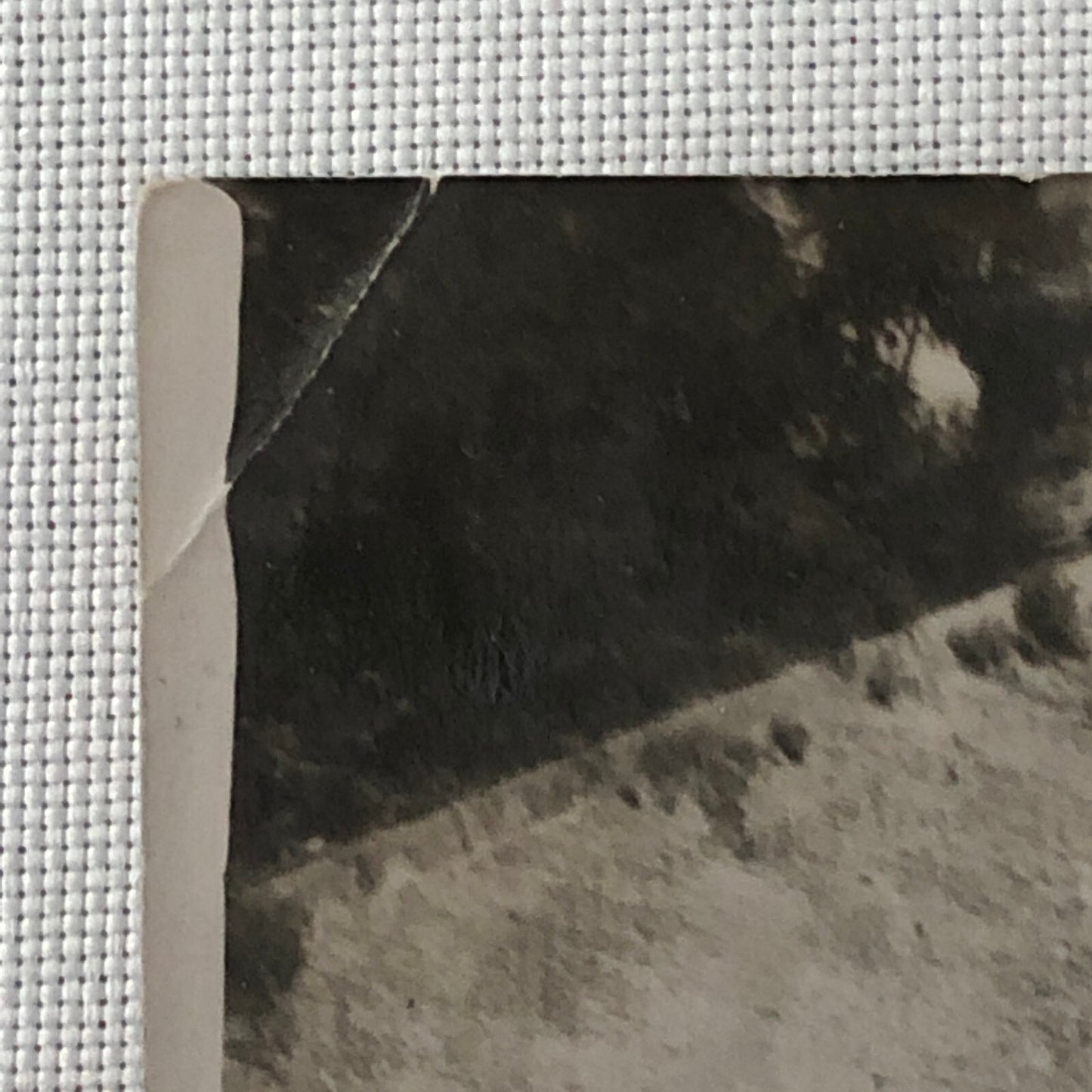 Vintage Antique Car Automobile Photo Photograph Print Rally Racing ? 