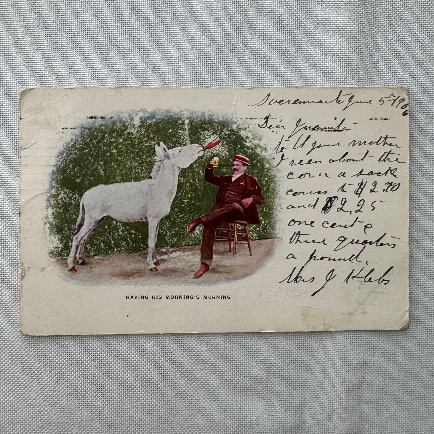 Vintage Postcard Man and Horse Drinking Beer Posted Postmark 1905 1906