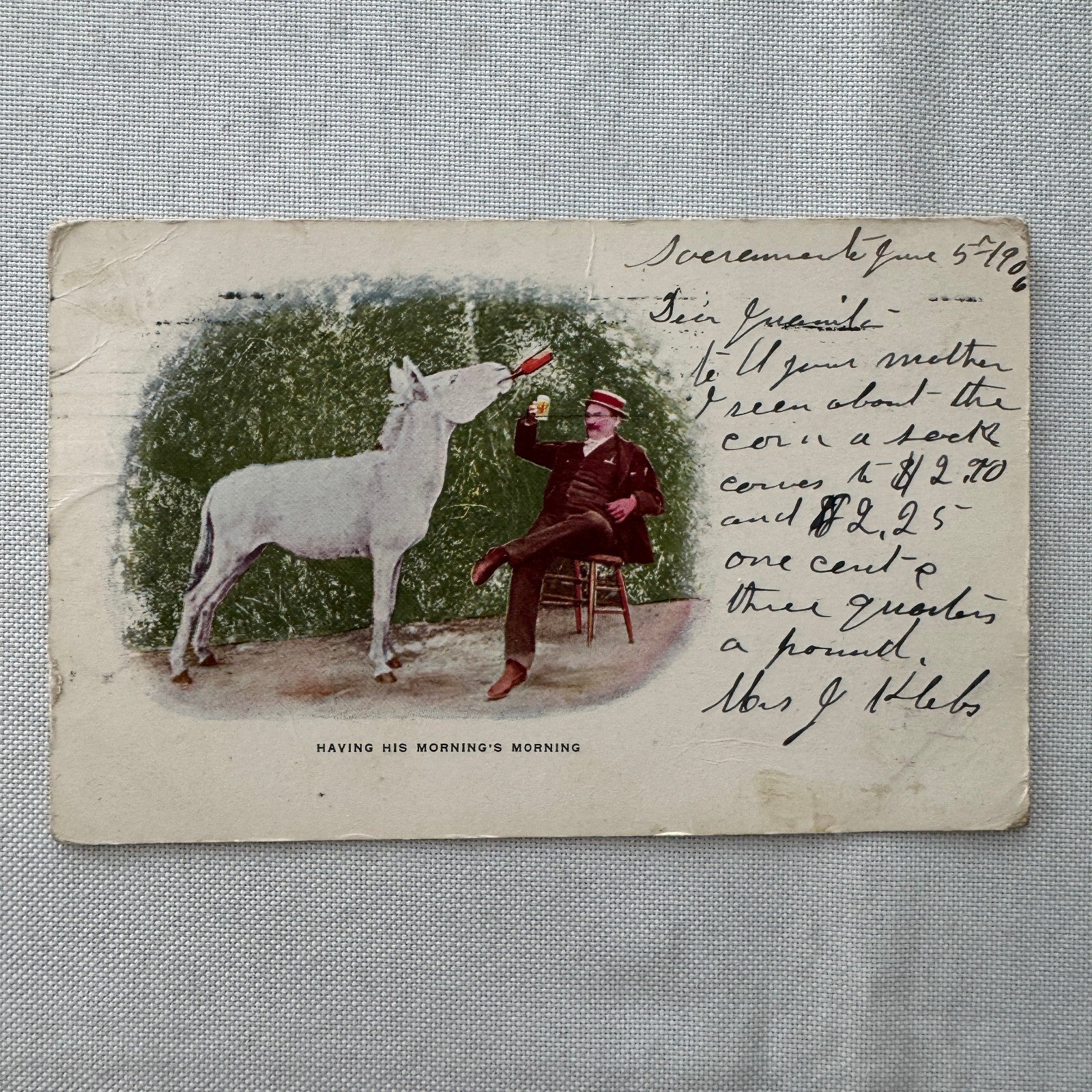 Vintage Postcard Man and Horse Drinking Beer Posted Postmark 1905 1906
