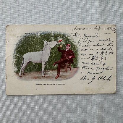 Vintage Postcard Man and Horse Drinking Beer Posted Postmark 1905 1906