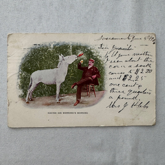 Vintage Postcard Man and Horse Drinking Beer Posted Postmark 1905 1906