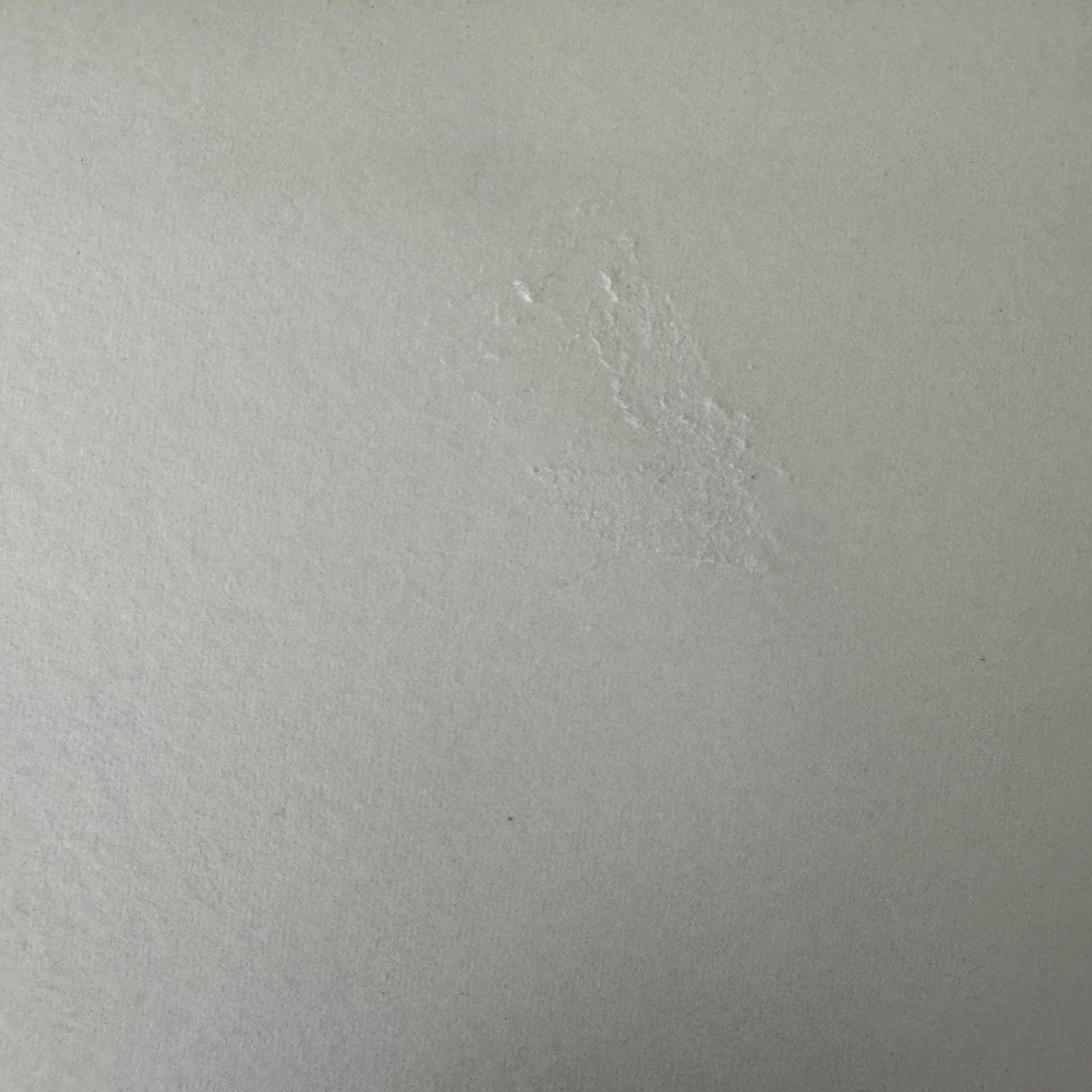 Vintage Car Racing Photo Jim Russell Racing Team Transporter Drivers Photograph