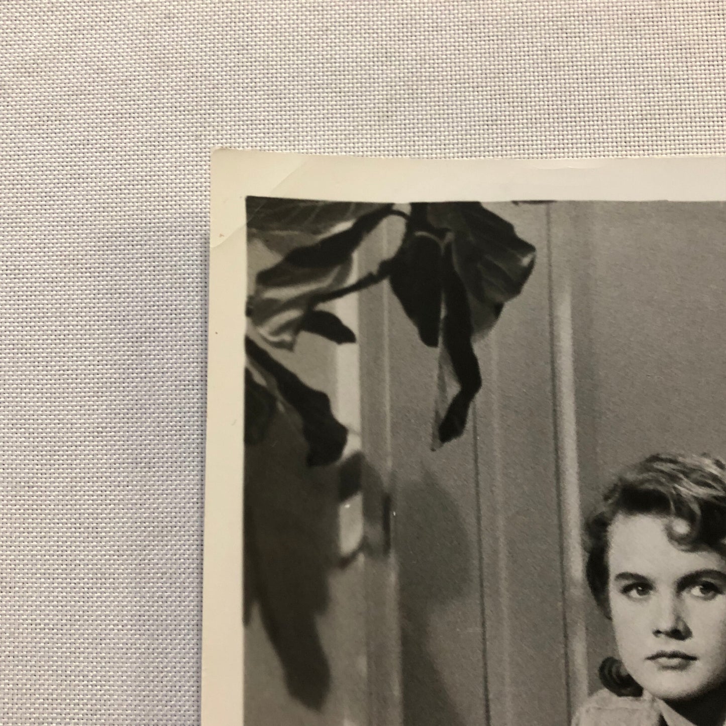 Carroll Baker Elizabeth Taylor Rock Hudson Actor Photo Photograph Warner Bros