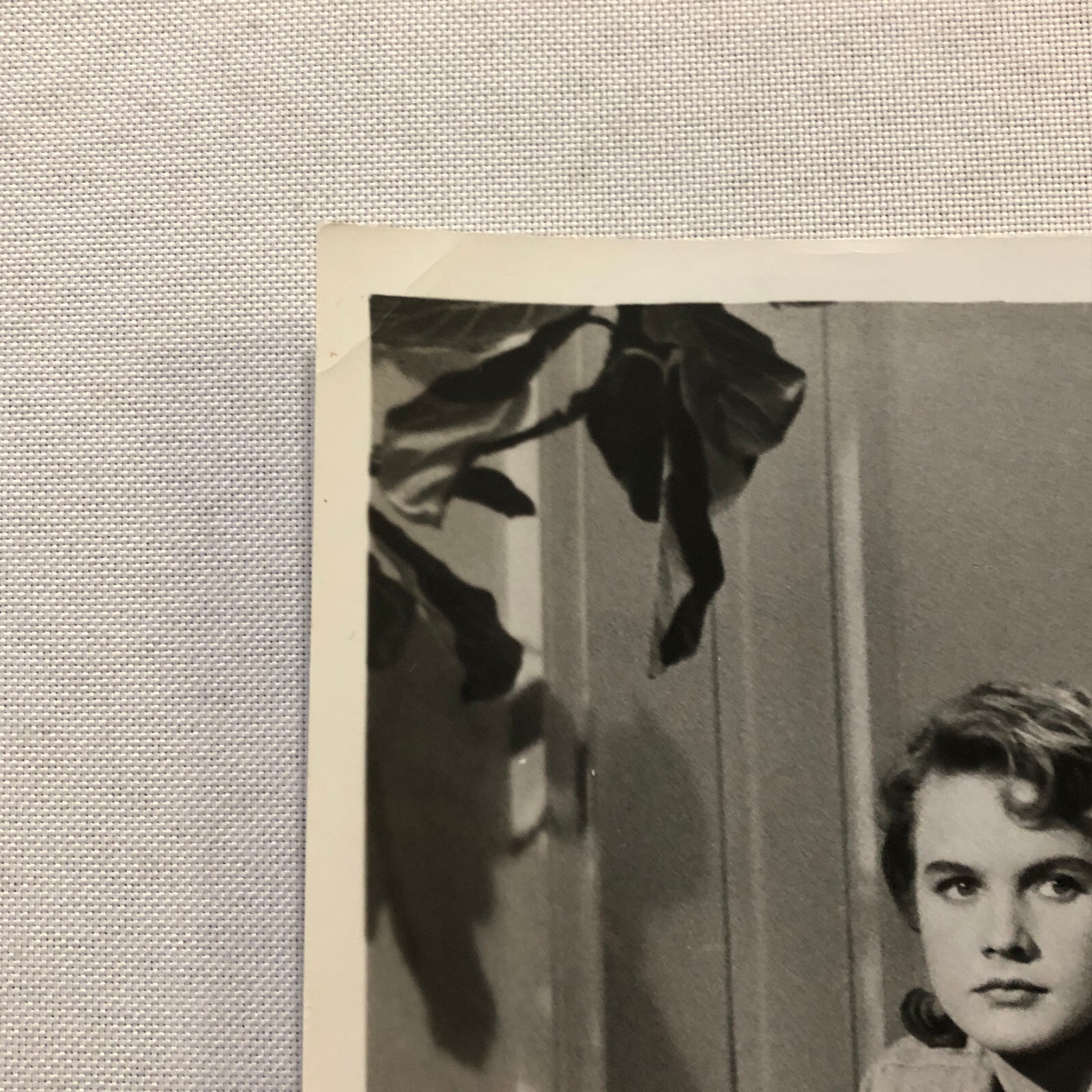 Carroll Baker Elizabeth Taylor Rock Hudson Actor Photo Photograph Warner Bros