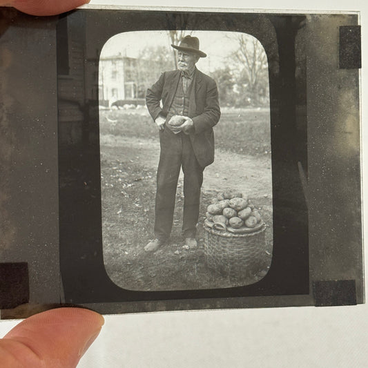 Antique Glass Plate Lantern Slide Photo Man with Potato Basket Farm