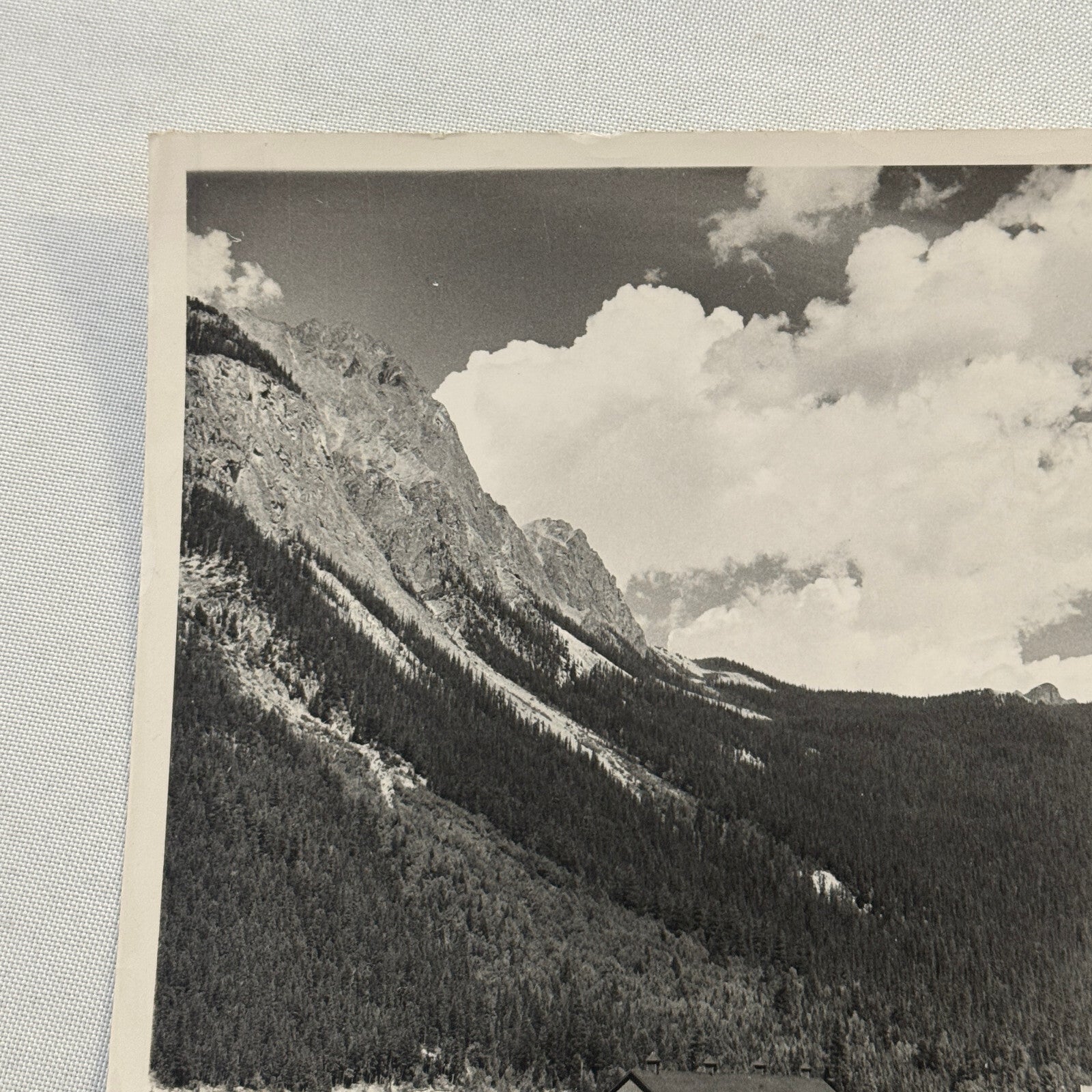 Vintage Train Railway Rail Photo Photograph CPR Yard Field British Columbia BC