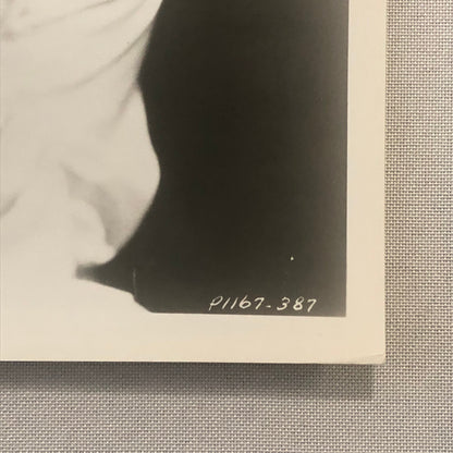 Marlene Dietrich Actress Photo Photograph Print Movie Still