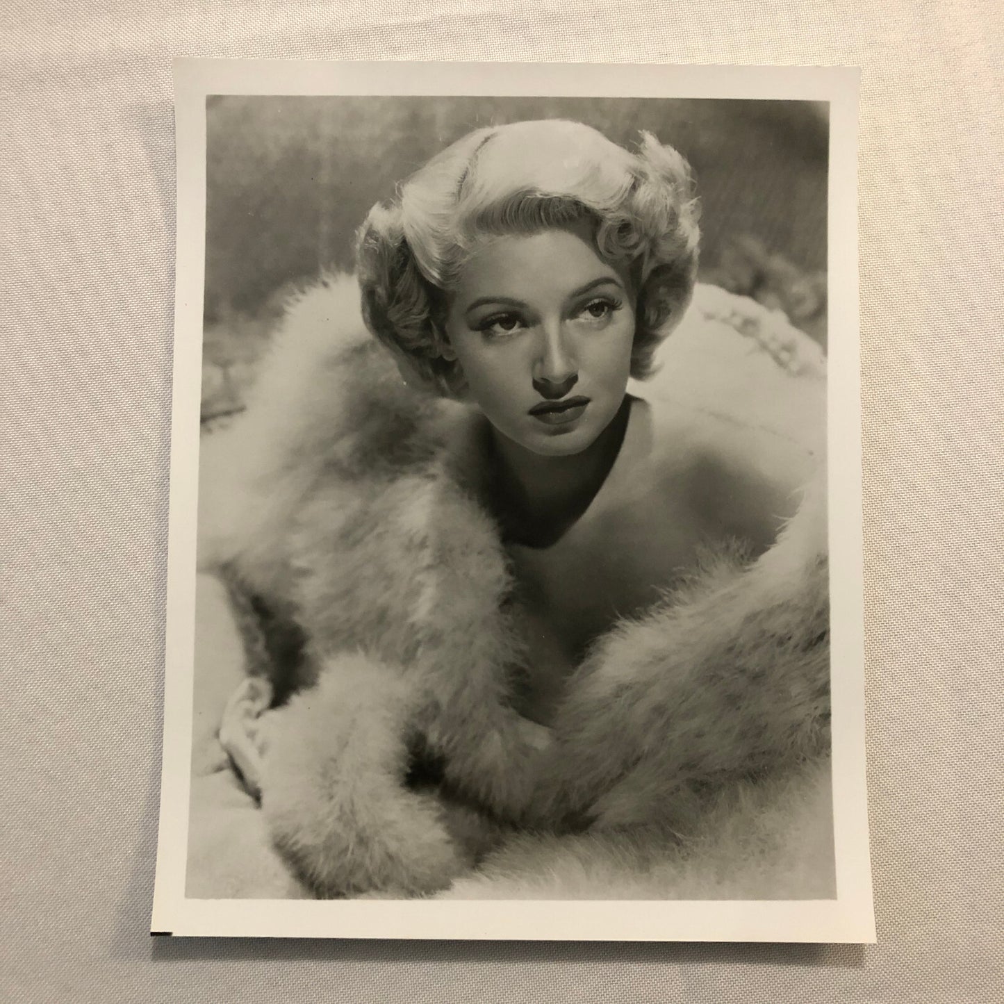 Actress Photo Photograph Vintage Image Modern Print Beautiful Lana Turner ?