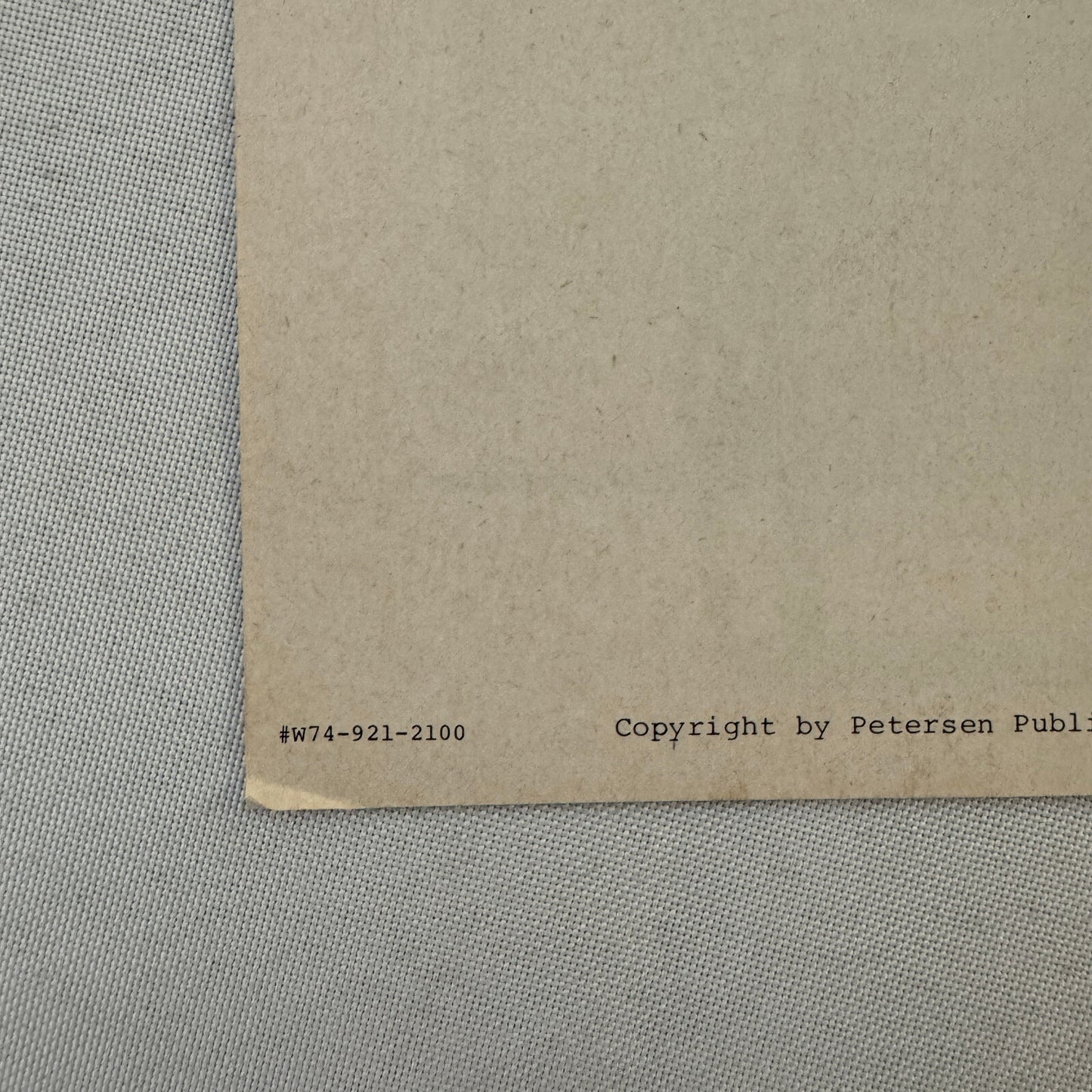 1981 Audi 4000 Car Sales Brochure Road Test Delorean BMW 320i Motor Trend