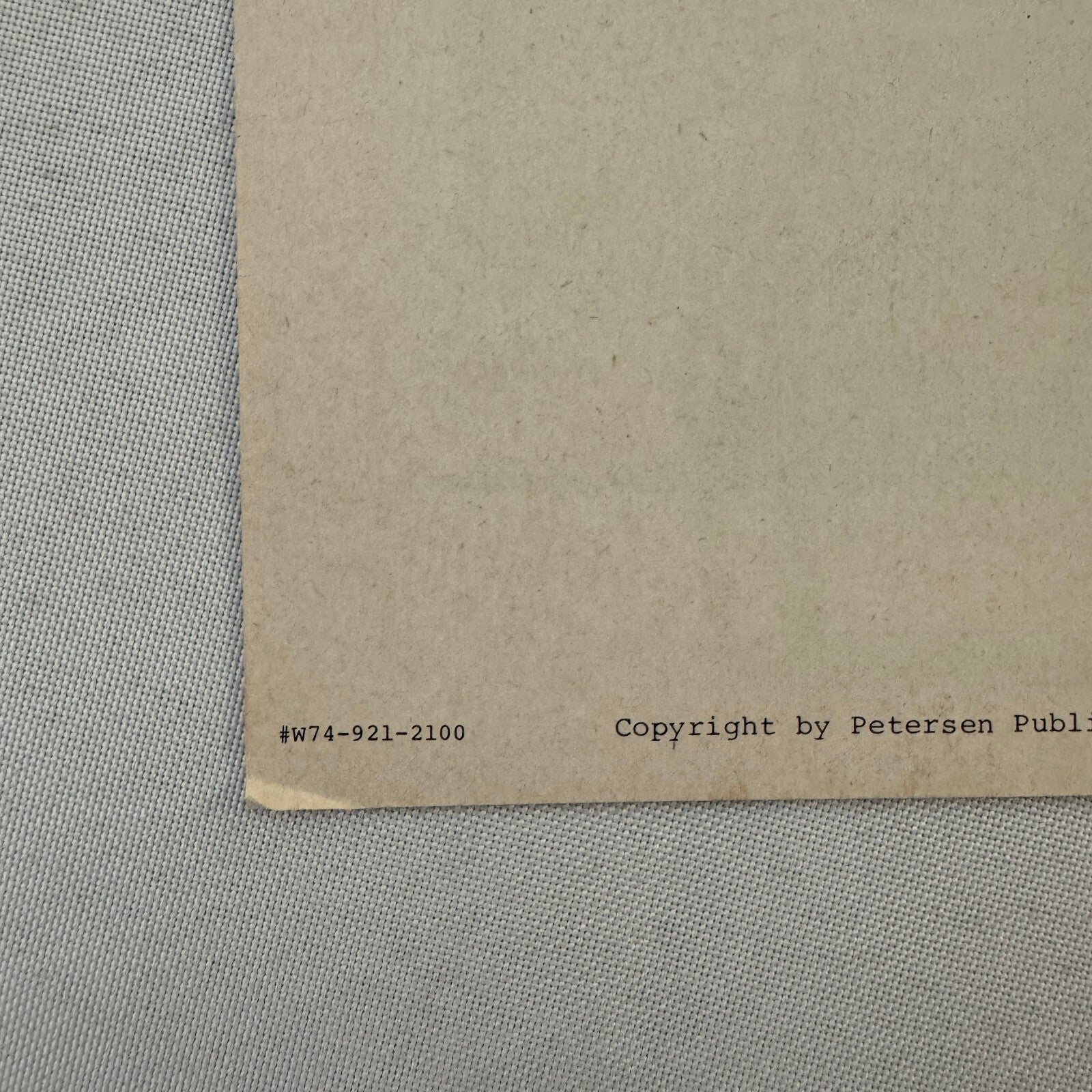 1981 Audi 4000 Car Sales Brochure Road Test Delorean BMW 320i Motor Trend