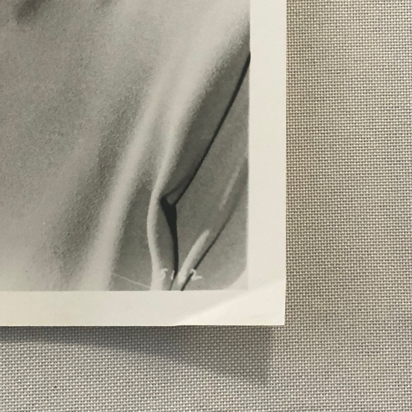 Cyd Charisse Photo Photograph Print Actress Movie Film