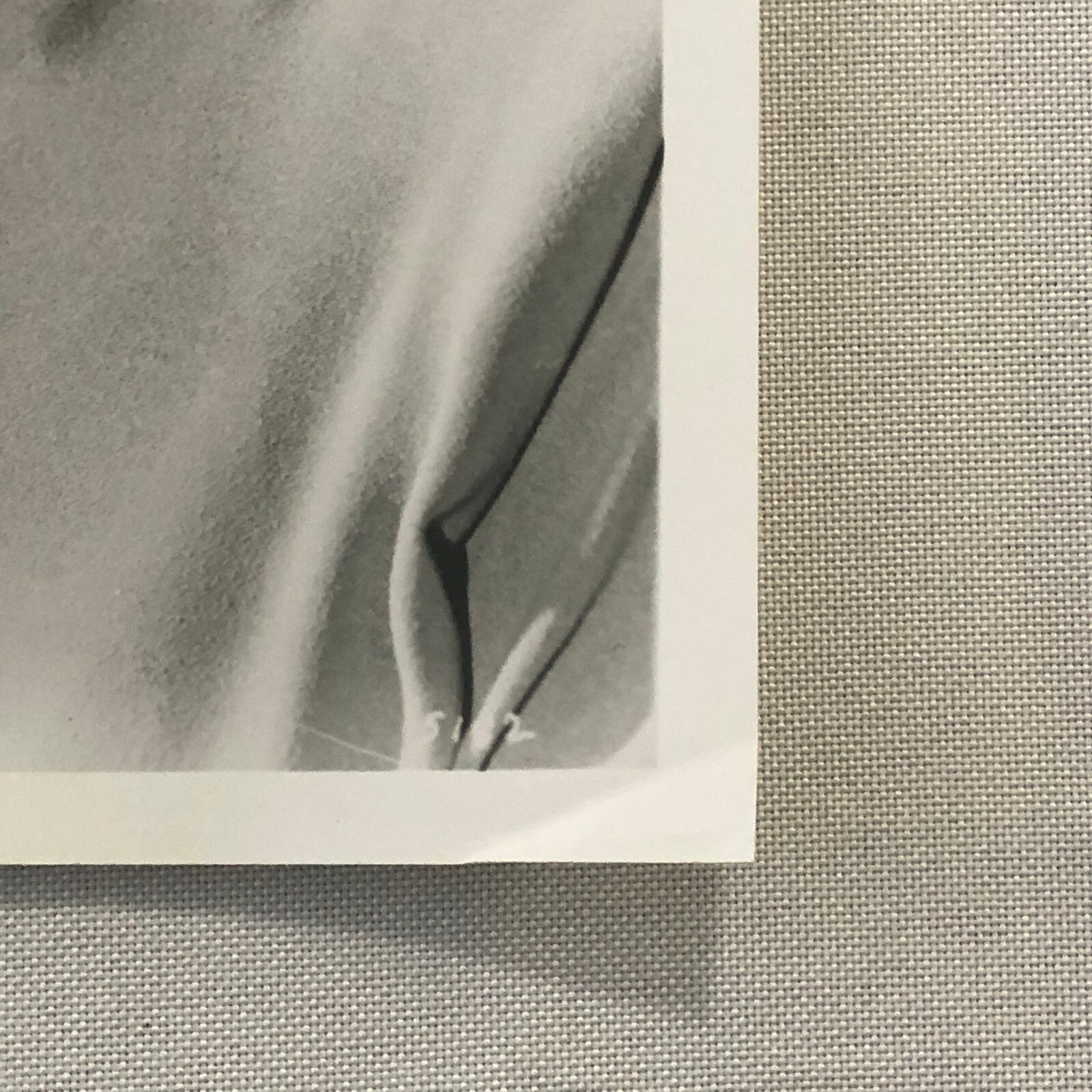 Cyd Charisse Photo Photograph Print Actress Movie Film