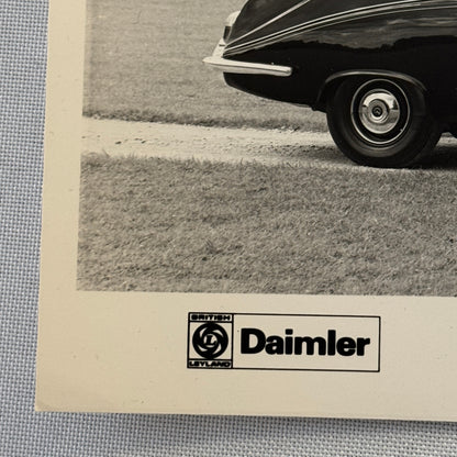 Daimler 4.2 Litre Limousine Vanden Plas Car Factory Press Photo Photograph