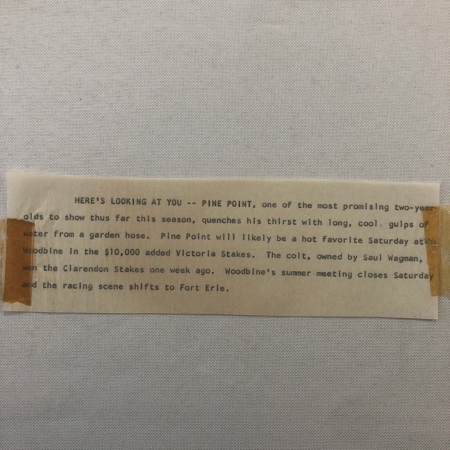 Vintage Horse Racing Photo Photograph Pine Point