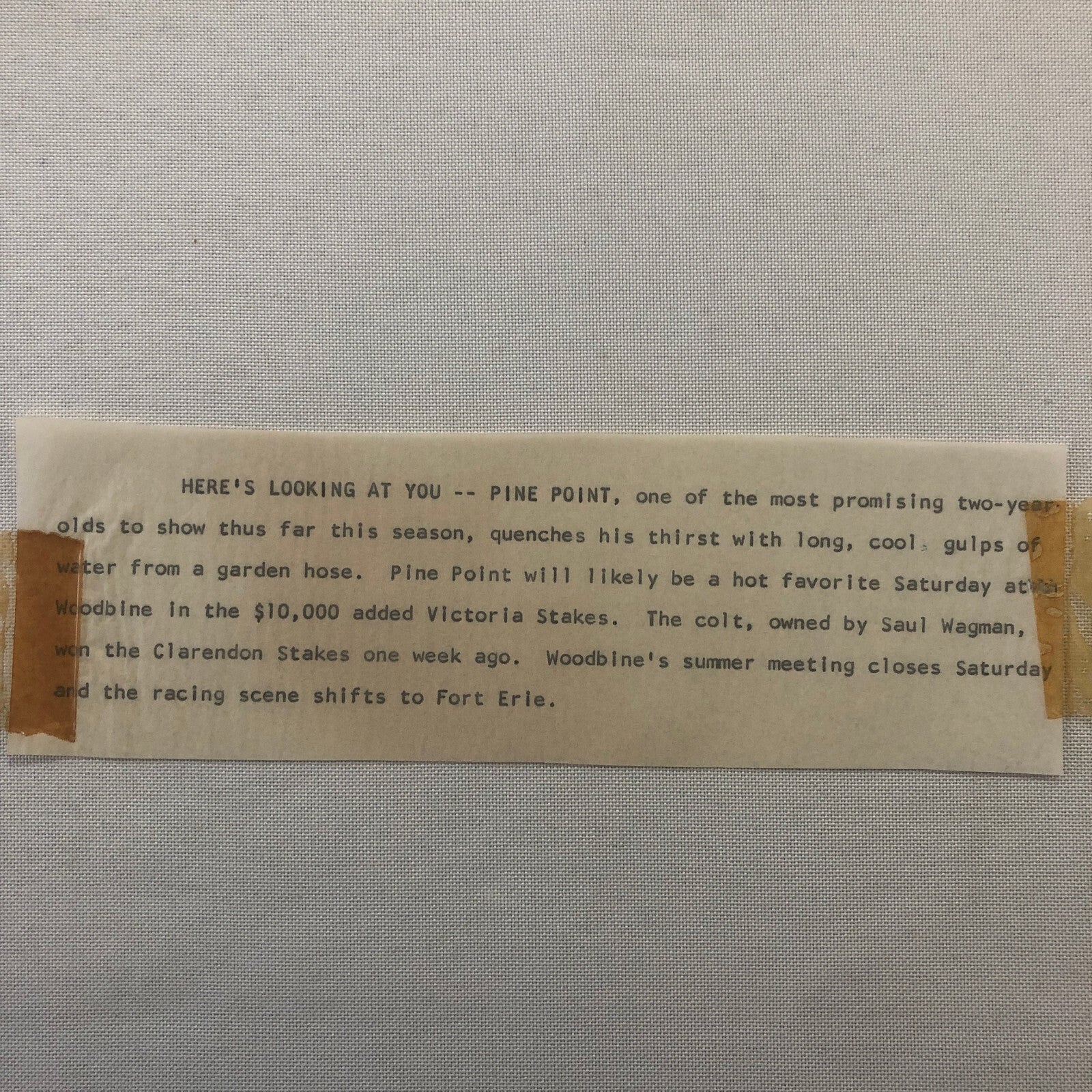 Vintage Horse Racing Photo Photograph Pine Point