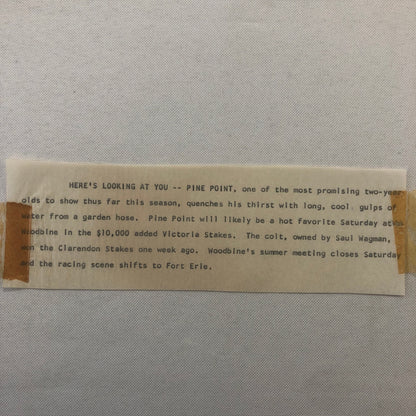 Vintage Horse Racing Photo Photograph Pine Point