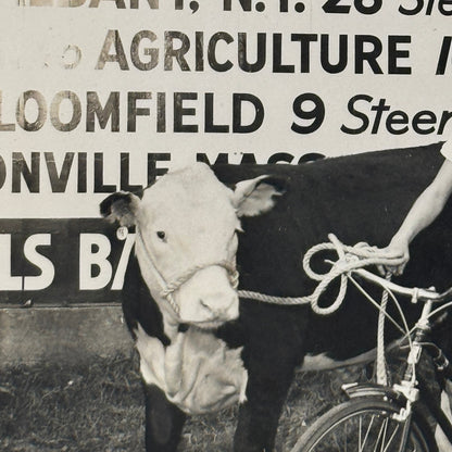 Vintage Photo Negative and Print Child on Bicycle with Cow 1952