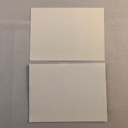 1993 Renault Racoon Concept Car Photo Photograph Lot of 2