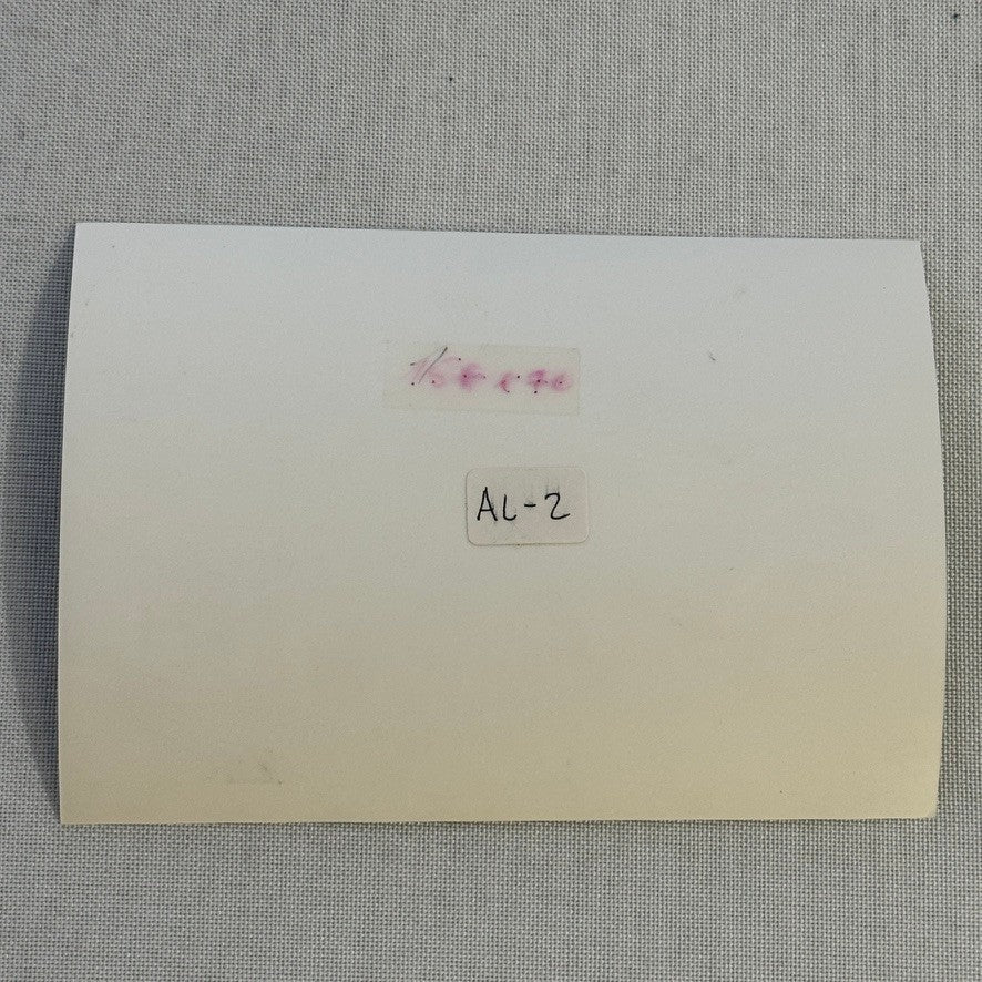 Custom Volkswagen Beetle Convertible Tuner Car Photo Photograph Print VW Bug