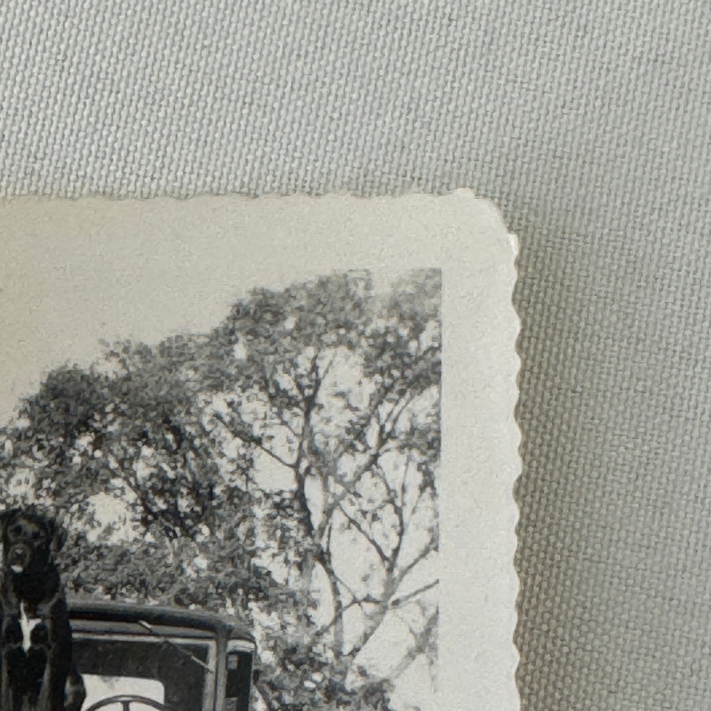 Vintage Dog Automobile Photo Photograph Print Snapshot Early Car