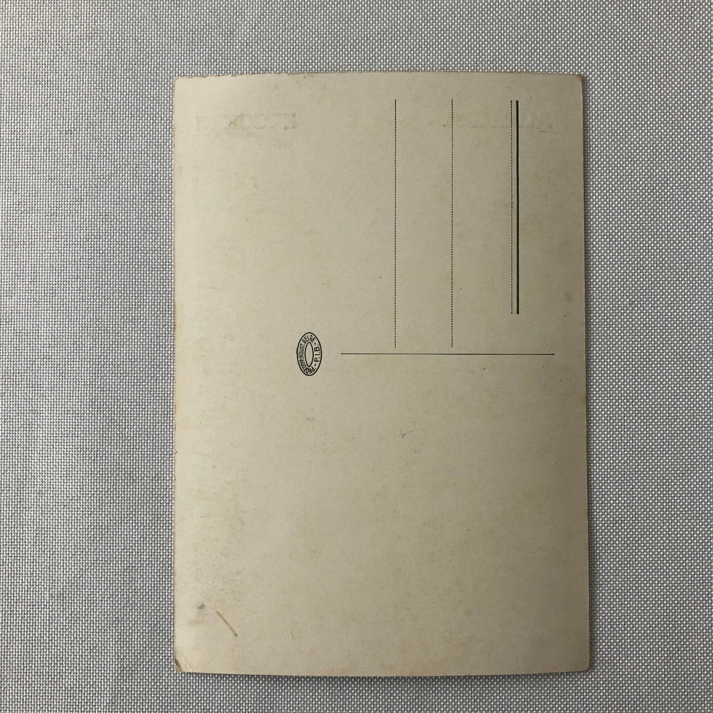 Circus Performer Bicycle Act Group Troupe Postcard Post Card Aldemira Zacchini