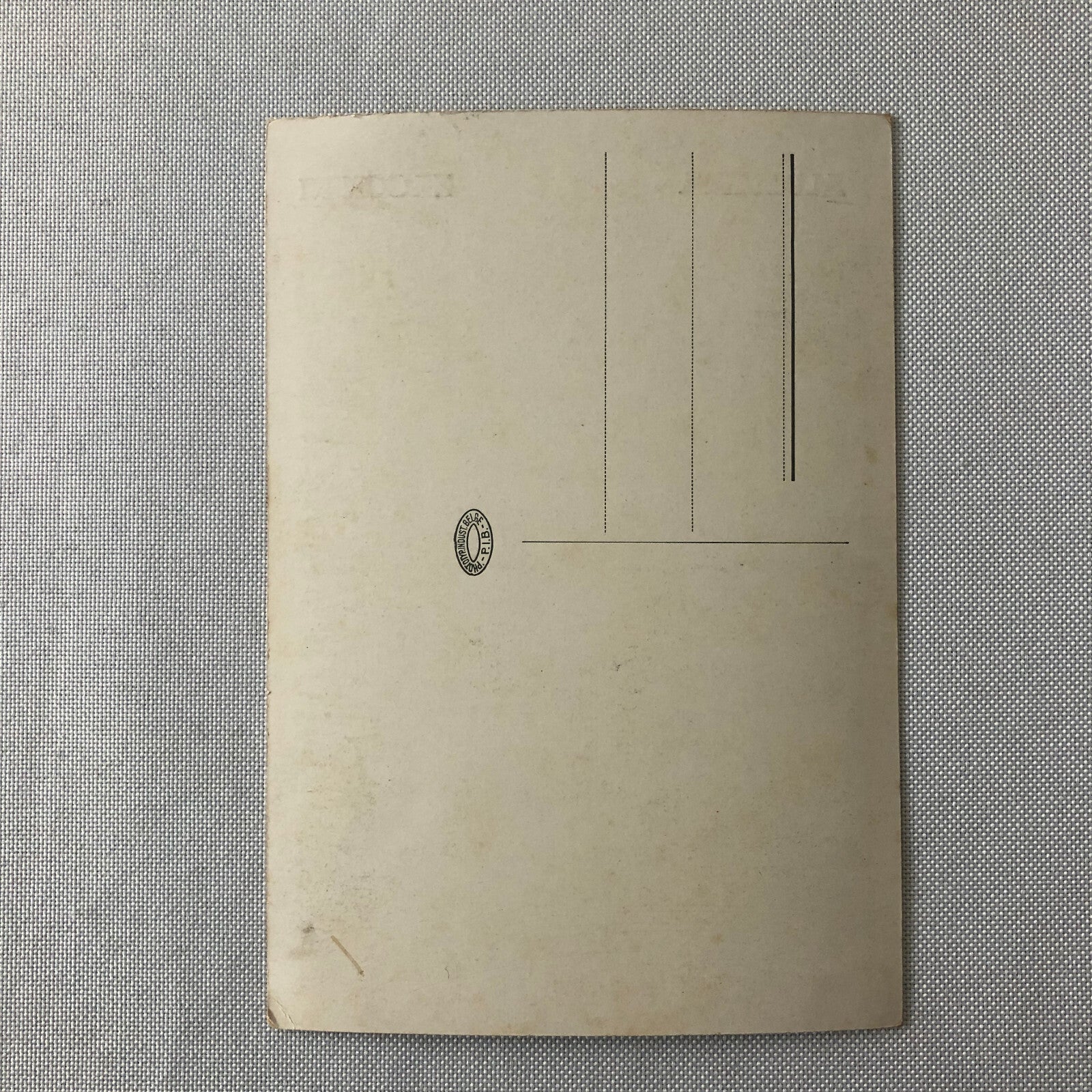 Circus Performer Bicycle Act Group Troupe Postcard Post Card Aldemira Zacchini