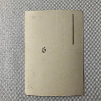 Circus Performer Bicycle Act Group Troupe Postcard Post Card Aldemira Zacchini