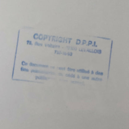 Vintage 1976 Formula 2 F2 Pau Grand Prix Racing Photo Photograph Alex Ribeiro