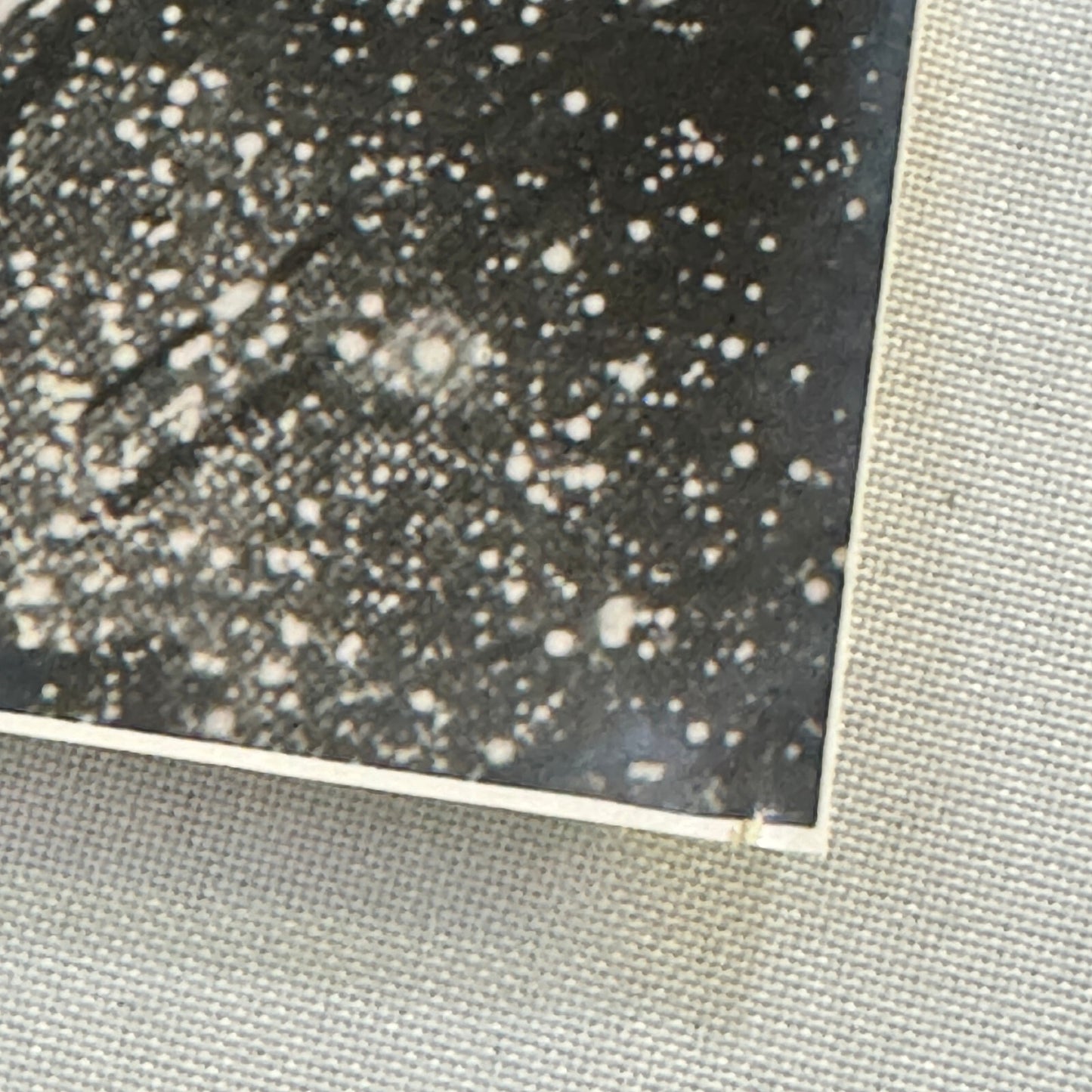 Vintage Circus Performer Photo Photograph Acrobatic Roller Skating Skate Act