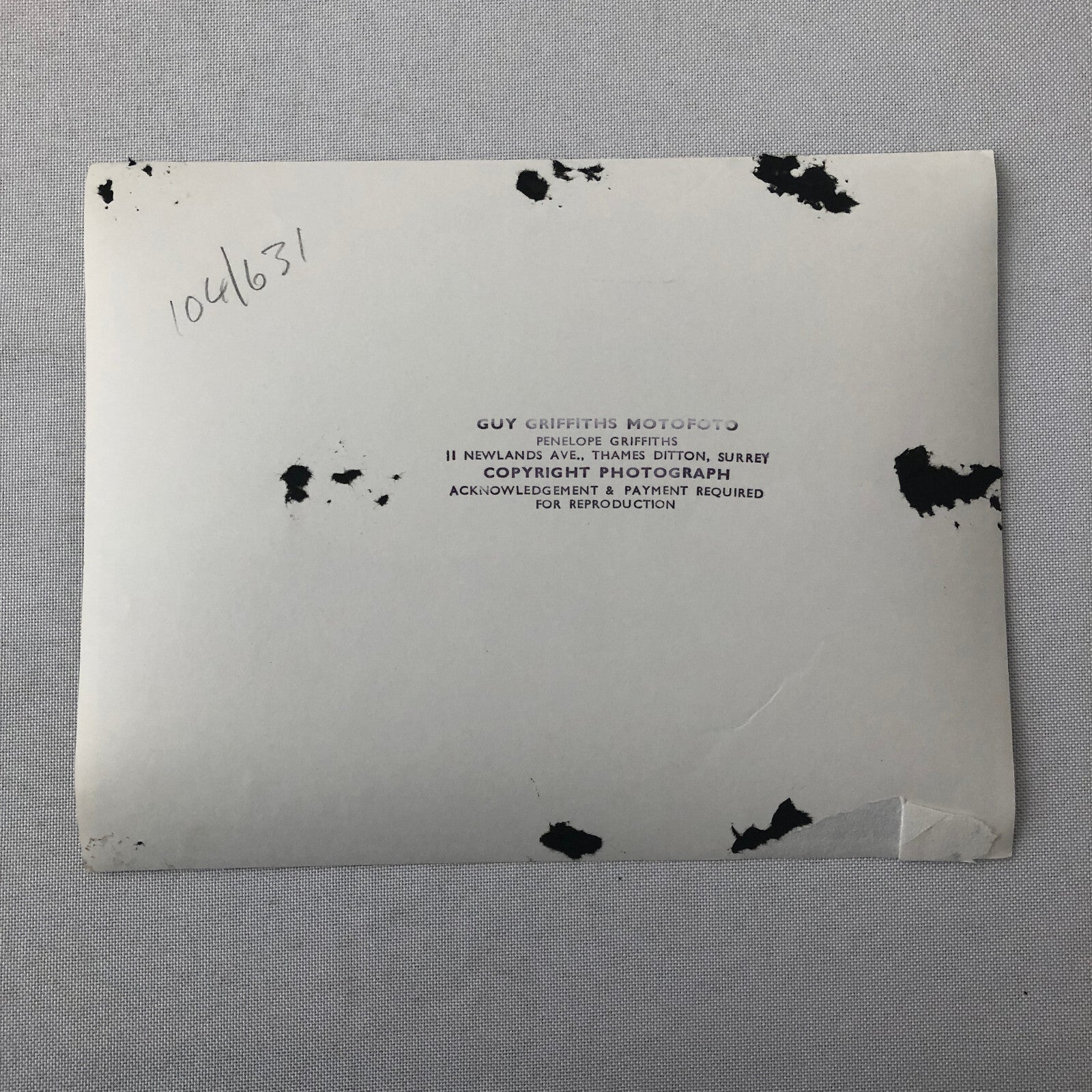 Vintage Antique Car Rally Photo Photograph Print - Guy Griffiths Tag REA22E4