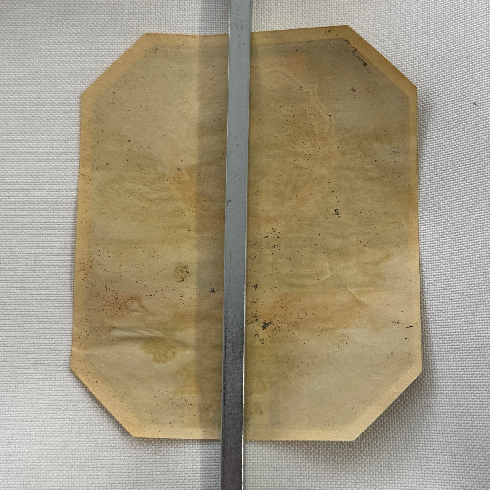 Vintage Travel Luggage Label The Raleigh Hotel Washington DC Pennsylvania Ave