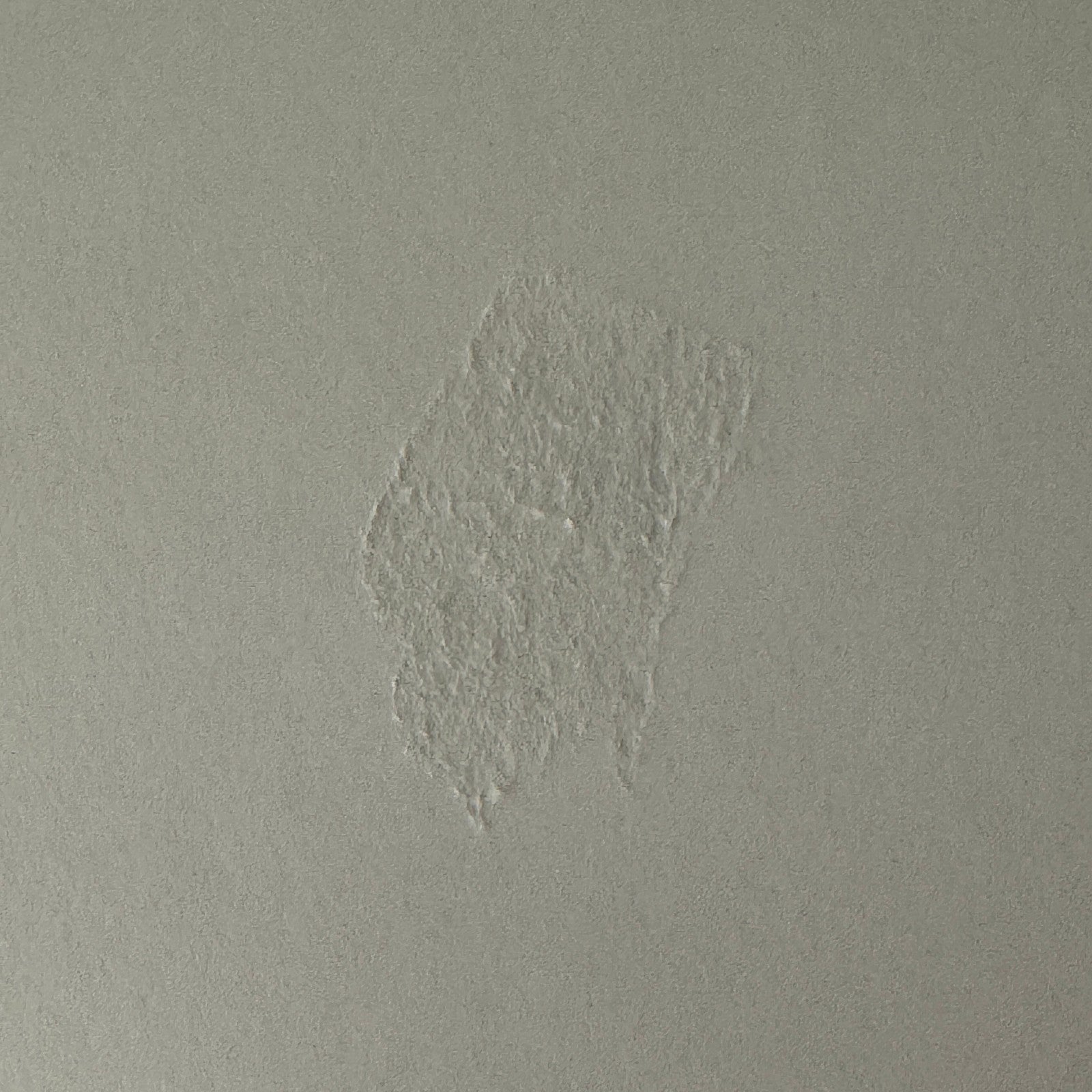 Vintage Car Racing Photo Circuit Mont Tremblant Quebec Photograph