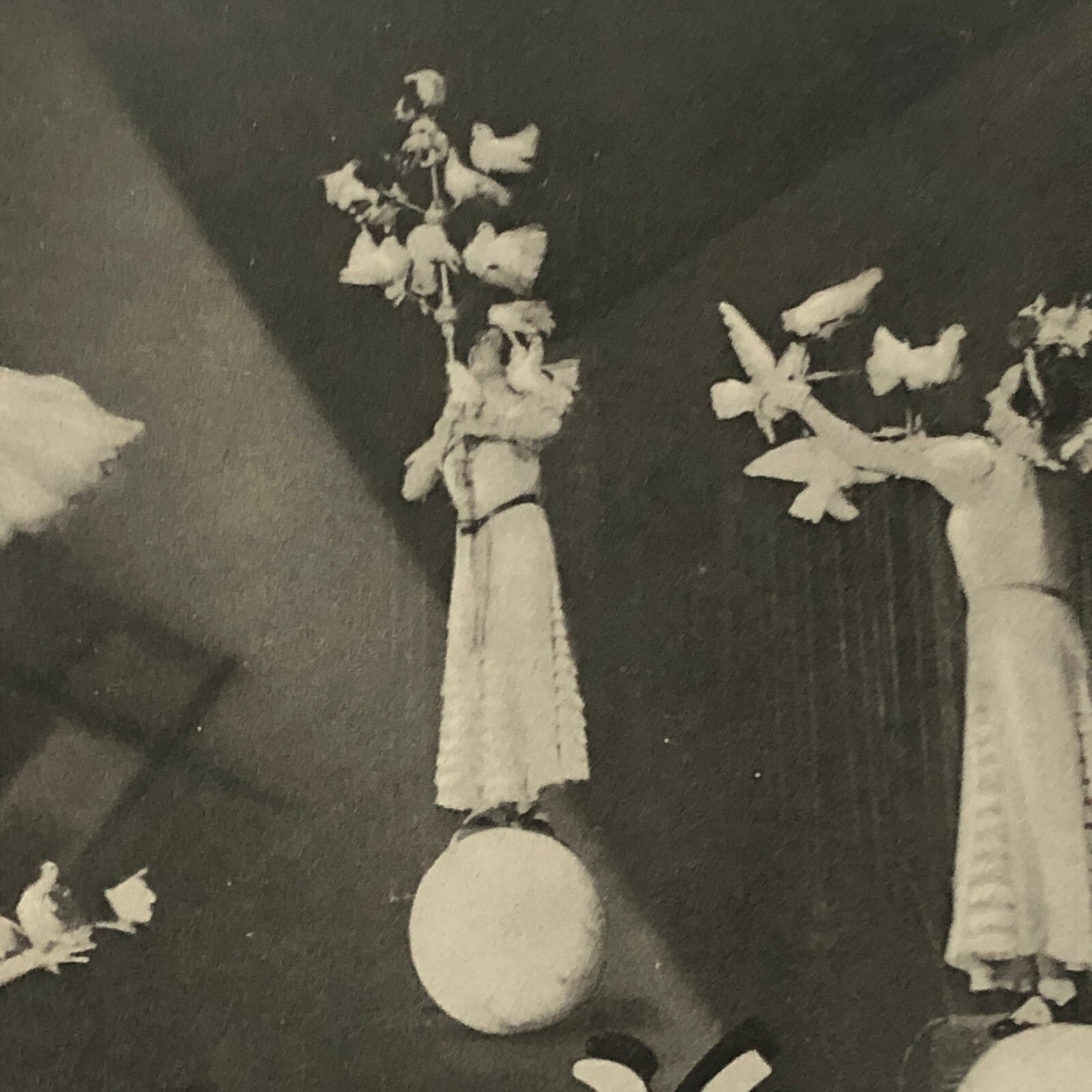 Circus Bird Training Act Postcard Post Card Vintage Mirza's Pracht Tauben Akt