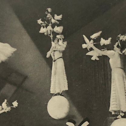 Circus Bird Training Act Postcard Post Card Vintage Mirza's Pracht Tauben Akt