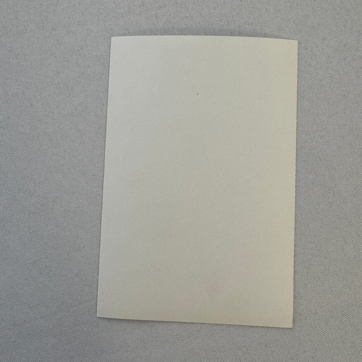 Canon Porsche Racing Team 1984 Factory Press Photo Driver Jonathan Palmer