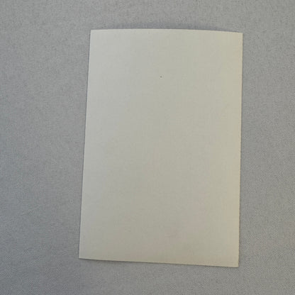 Canon Porsche Racing Team 1984 Factory Press Photo Driver Jonathan Palmer