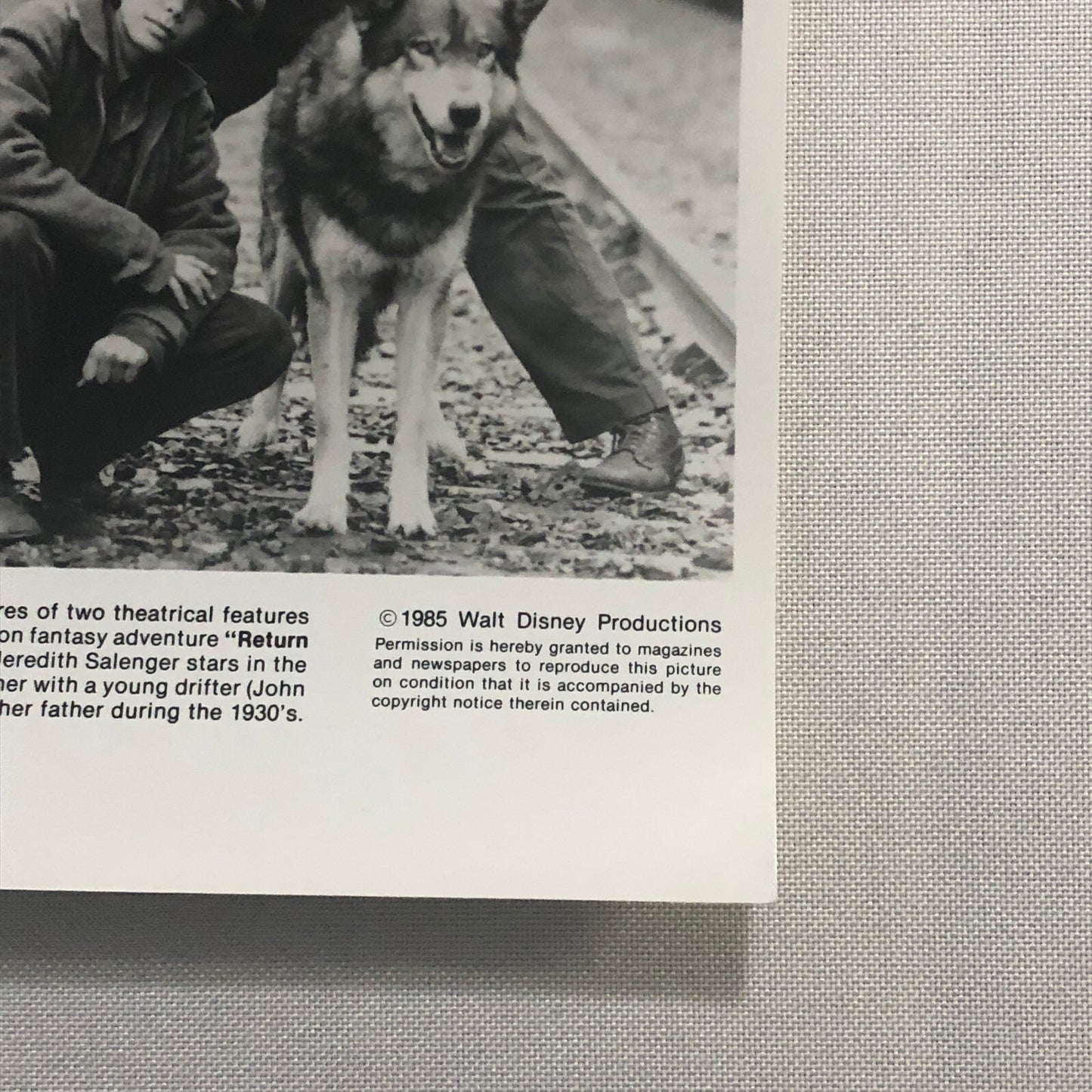 Disney Channel Movie Press Photo Photograph Return to Oz Journey of Natty Gann