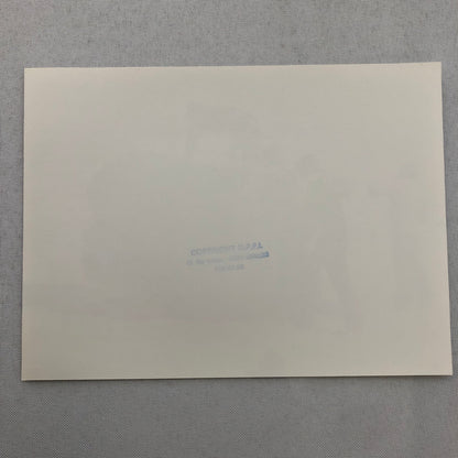 1980 Transafrica Rally Rallye Photo Photograph DPPI Truck Crash Wreck Africa