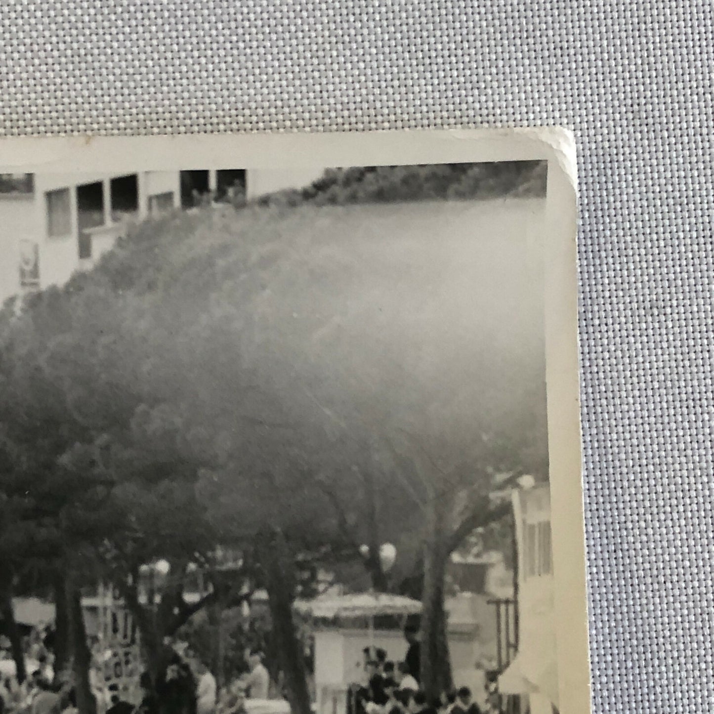 Vintage Racing Car Photo Photograph - Grand Prix 