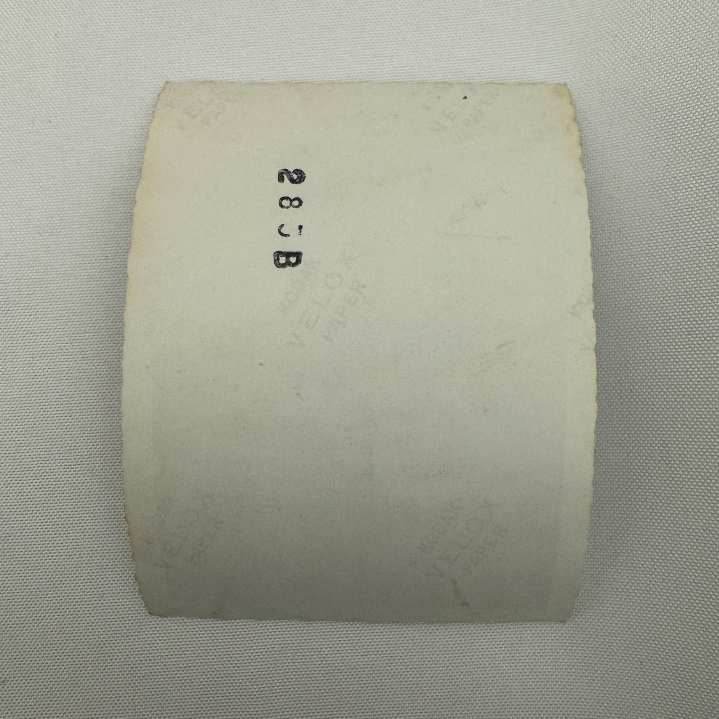 Vintage Pontiac Eight Car Photo Photograph Print Snapshot Pontiac 8 Woman Girl