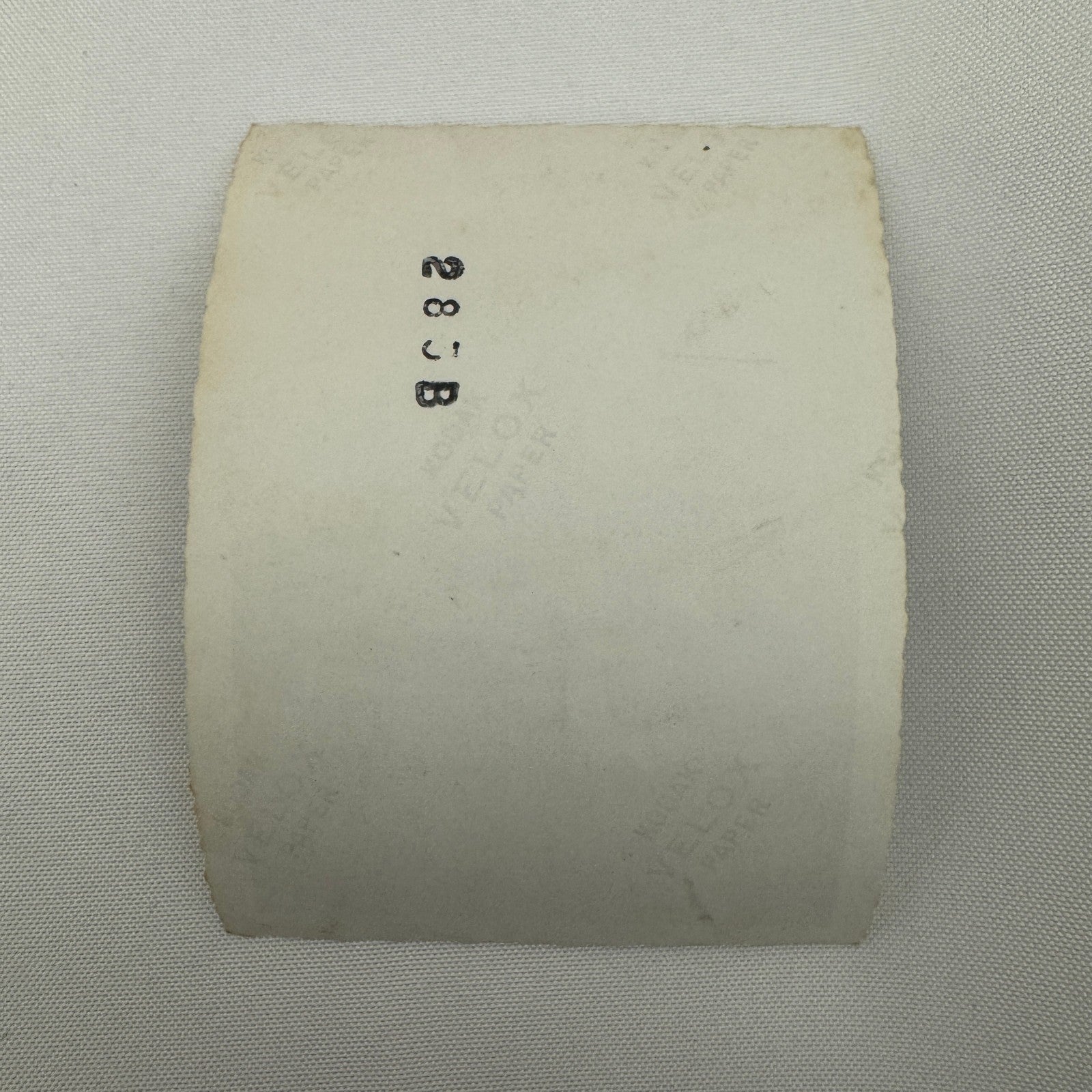 Vintage Pontiac Eight Car Photo Photograph Print Snapshot Pontiac 8 Woman Girl