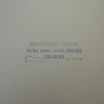 Vintage Rally Racing Photo Photograph Print DPPI Fiat 127 Cars