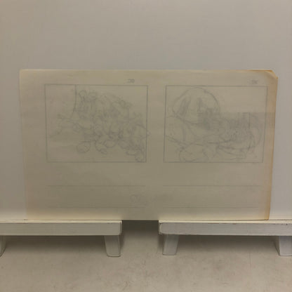 ANIMANIACS Animation Storyboard Illustration Drawing Sketch Story Board Art