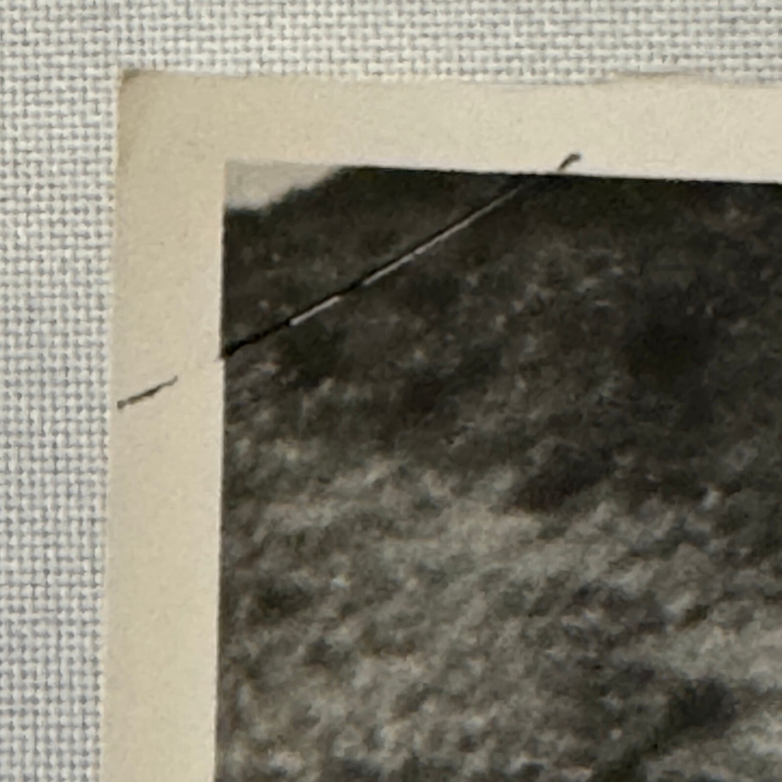 1922 Targa Florio Graf Masetti Mercedes Benz Racing Car Photo Photograph