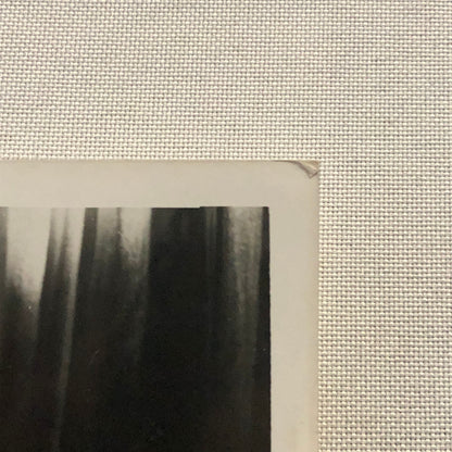 Lana Turner Hollywood Movie Star Actress Photo Photograph Print Beautiful